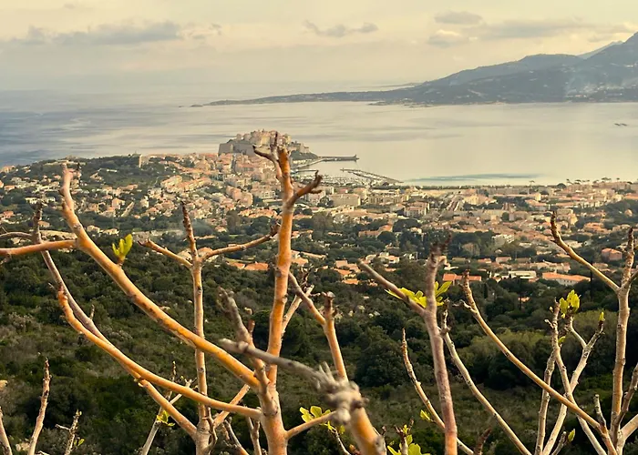 Les Galets Bleus De Calvi