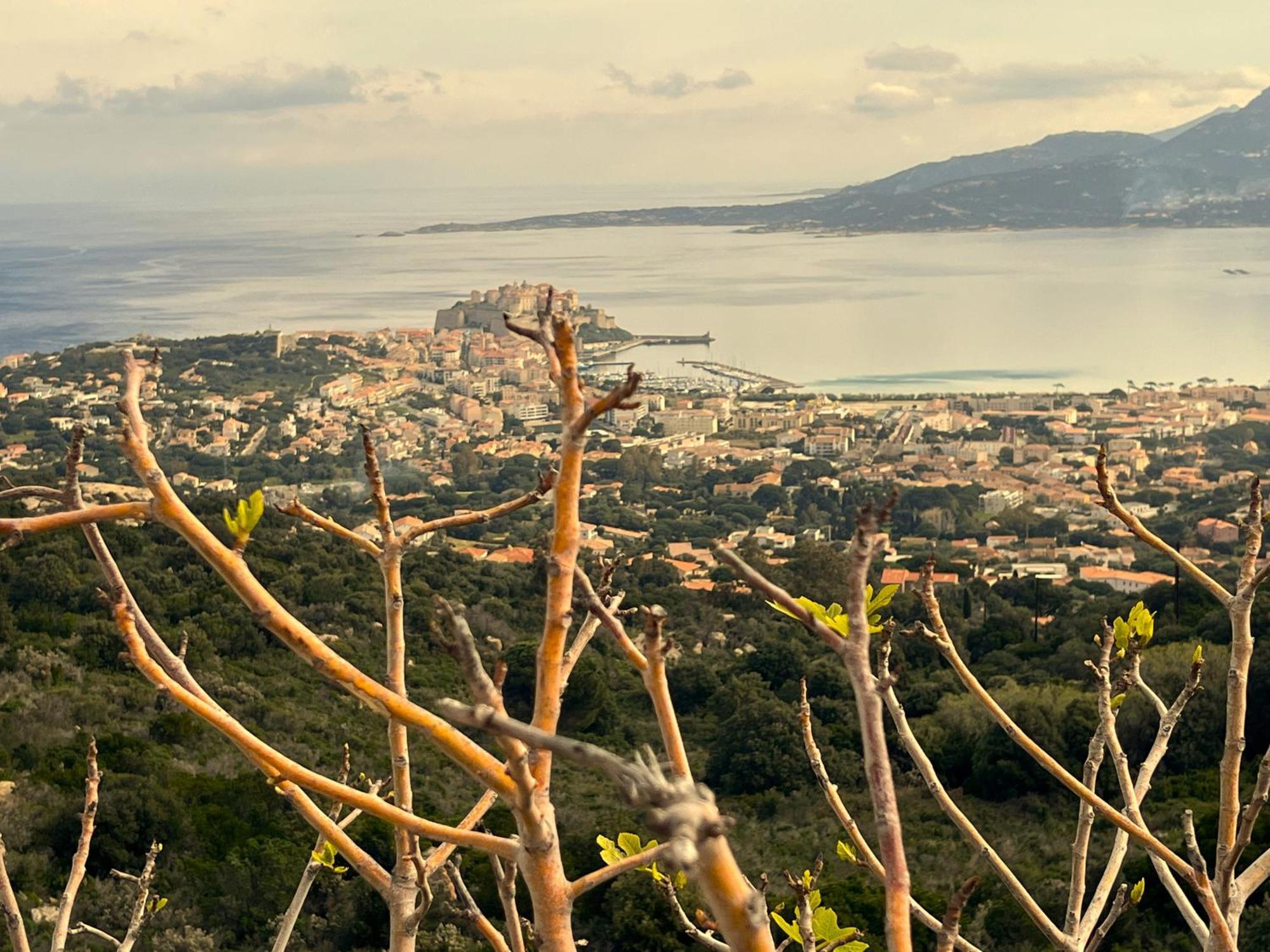 Villa Les Galets Bleus De Calvi *