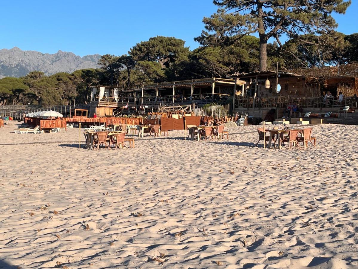 Les Galets Bleus De Calvi *