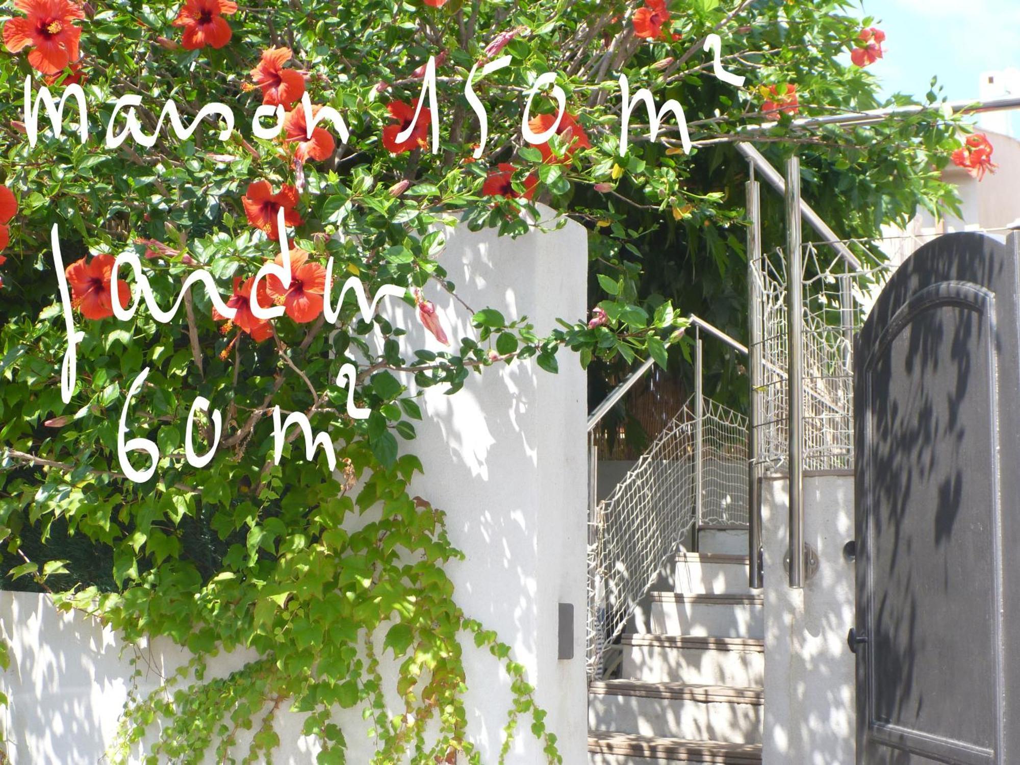 Villa Calvi, Maison De Charme, Jardin, 150 Mètres. *