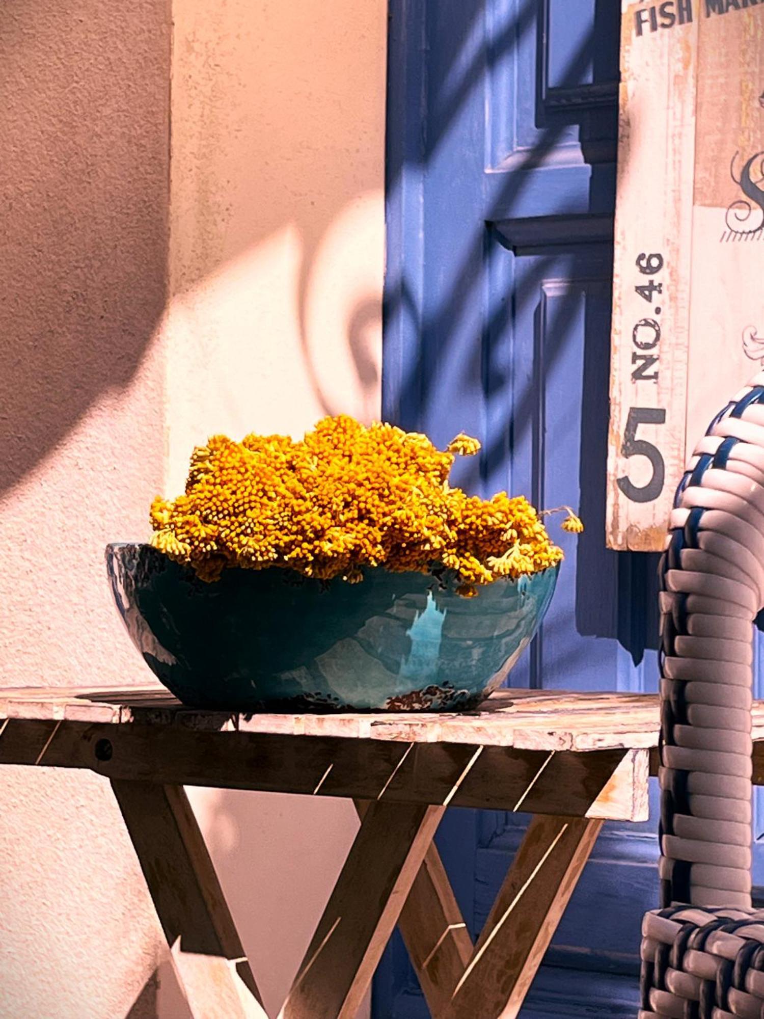 Calvi, Maison De Charme, Jardin, 150 Mètres. * Calvi (Corsica)